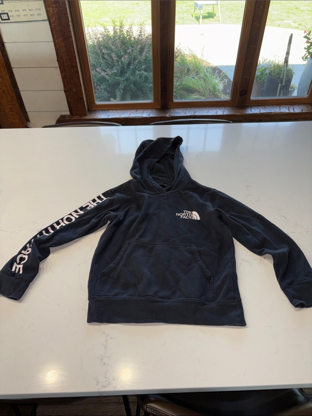 The North Face Navy Pullover Hoodie with Sleeve Script